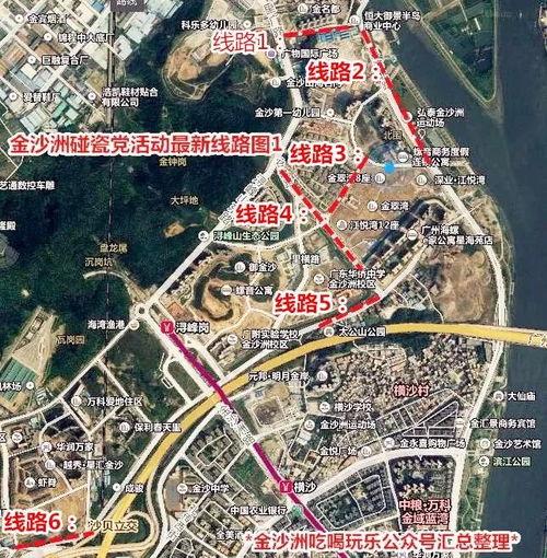 金沙洲爆料新闻事件最新,最新事件引发社会关注  第1张