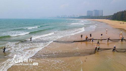 海南赶海爆料视频大全,揭秘海洋宝藏的奇妙之旅  第2张