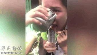 舔下面的在线观看,揭秘都市情感纠葛  第2张